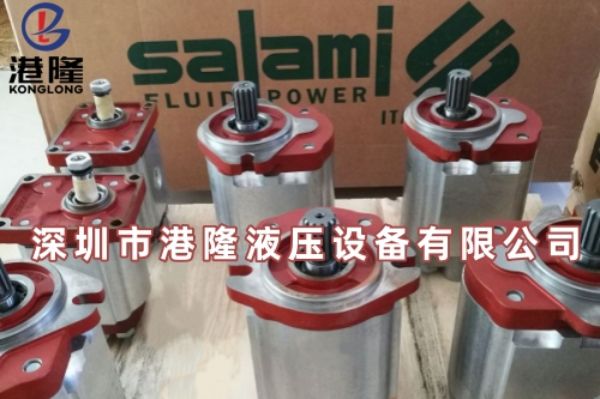 意大利Salami齿轮泵的安装尺寸是多少？