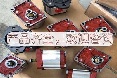 意大利SALAMI齿轮泵