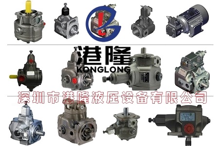 布莱玛berarma叶片泵