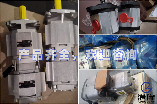 Marzocchi齿轮泵目录样本