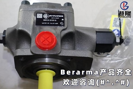 Berarma布莱玛液压泵